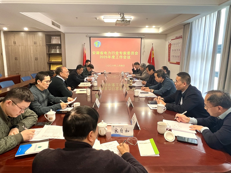 安徽省电力行业专家委员会召开2025年度工作会议